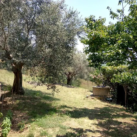 Casa vacanze Maja Country House *